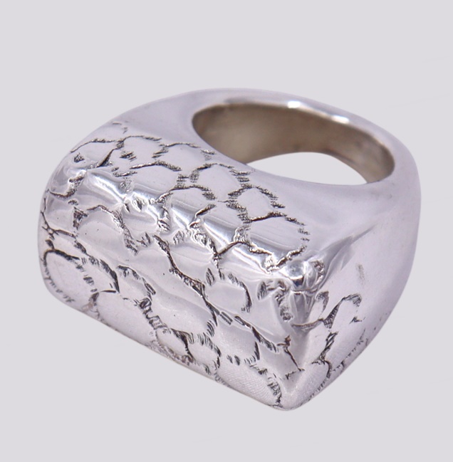 Anel Prata – Cód. 9508632